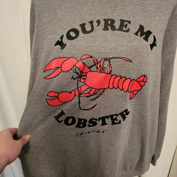 Friends You’re My Lobster Sweatshirt - Picture 4 of 7